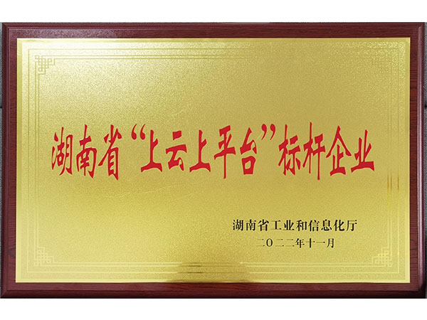  湖南省“上云上平臺(tái)”標(biāo)桿企業(yè)